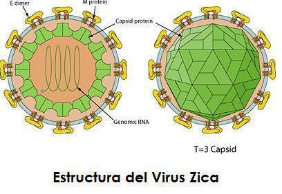 PRIMER CASO DE ZIKA EN ESPAÑA