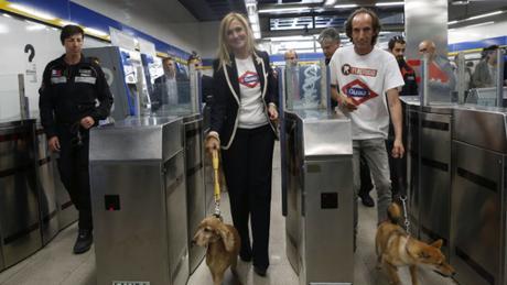 ¡Ya podemos viajar en Metro con nuestros perros!