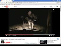 El origen de la imagen del hombre polilla