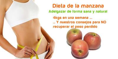 PROGRAMA DE DIETAS