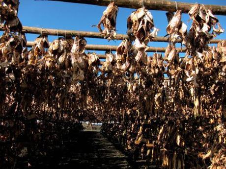 islandia-itinerario-1-semana-en-coche-85