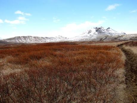 islandia-itinerario-1-semana-en-coche-61