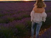 Efecto Amnesia Hotel Niwa