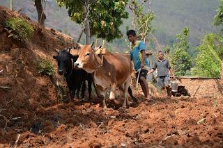 21_dias_en_Nepal_Viaje_Fotografia