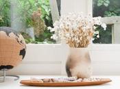 Apartamentos alrededor mundo