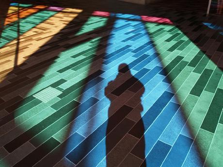 Camaraveranoenaccion