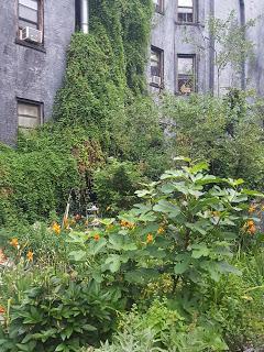 jardin comunitario en nueva york