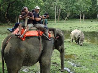 Safari_Fotografia_CHITWAN