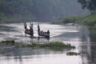 Safari_Fotografia_CHITWAN