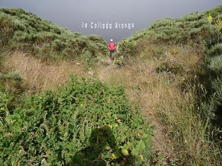 Caldas de Luna-Aronga-Casares de Arbás-Coleo-Bildeo