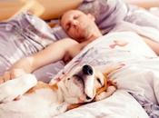 Hace dieta diferente hará dormir bien