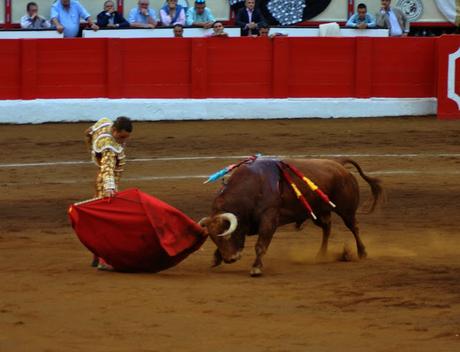 Tarde de toros