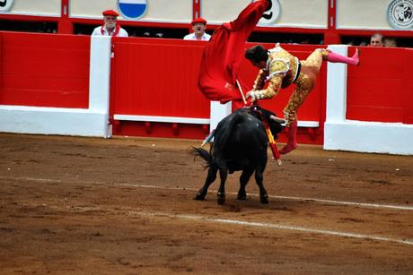 Tarde de toros