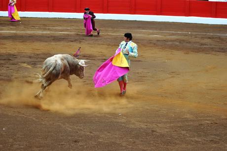 Tarde de toros