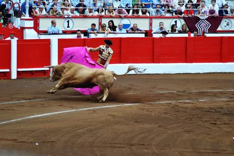 Tarde de toros