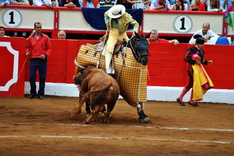 Tarde de toros