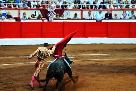 Tarde de toros