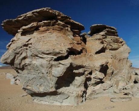 CAP. 12 . . . . . . . . . . . . . . . . . . . . . . . . . . . . . . Andanzas y tropezones de Dikembe Biyombo