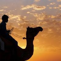 CAP. 12 . . . . . . . . . . . . . . . . . . . . . . . . . . . . . . Andanzas y tropezones de Dikembe Biyombo