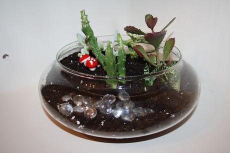 Diy: terrario de cactus