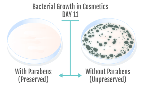 Parabenos en los cosméticos. ¿Realmente son tan malos? Parabenos en los cosméticos. ¿Realmente son tan malos?