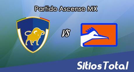 Celaya vs Correcaminos en Vivo – Online, Por TV, Radio en Linea, MxM – AP 2016 – Ascenso MX