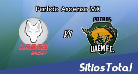 Lobos BUAP vs Potros UAEM en Vivo – Online, Por TV, Radio en Linea, MxM – AP 2016 – Ascenso MX