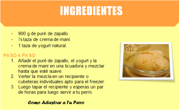 4 Recetas Fáciles y Económicas para TU Perro