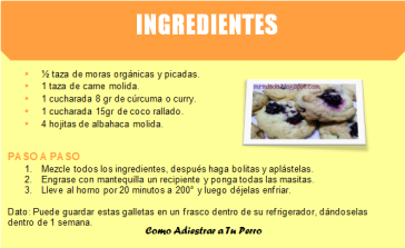 4 Recetas Fáciles y Económicas para TU Perro