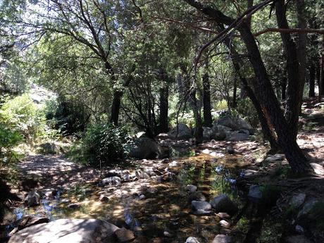 SENDERISMO POR LA PEDRIZA HASTA EL REFUGIO GINER DE LOS RÍOS