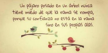 Cuestión de confianza