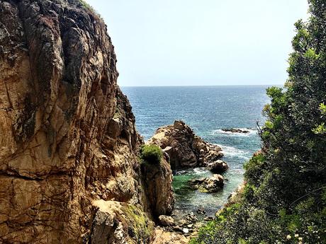 Vistas Cala Sant Francesc, Blanes