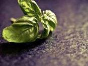 Remedios para picaduras mosquito