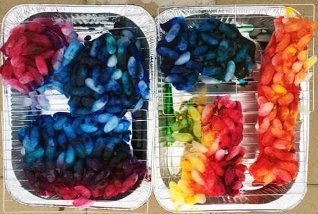 2498.- Actividades veraniegas para niños: camisetas teñidas