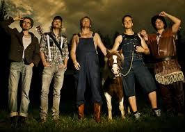 Steve 'n' Seagulls