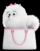 La vida secreta de las mascotas