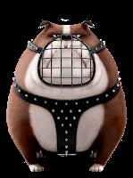 La vida secreta de las mascotas