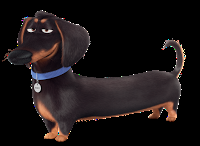 La vida secreta de las mascotas