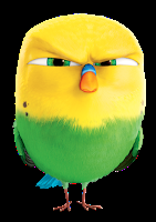 La vida secreta de las mascotas