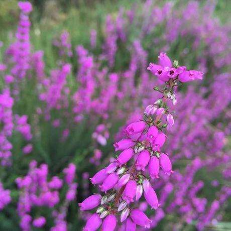 Top links julio Top links julio