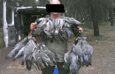 La media veda: matar para quitar el mono