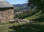 Calzada Romana, Concha