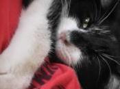 indicas aprendo, gracias profe