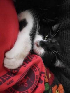 Tú me indicas y yo aprendo, gracias profe