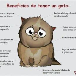 Conferencia de Dolors Reig @dreig a l’Escola d’estiu 2012