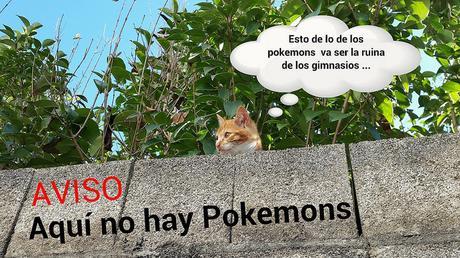 Estamos tan agustito