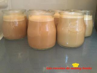 YOGURES DE DULCE DE LECHE EN THERMOMIX