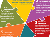 Infografía: Seis claves para trabajar inteligencias...