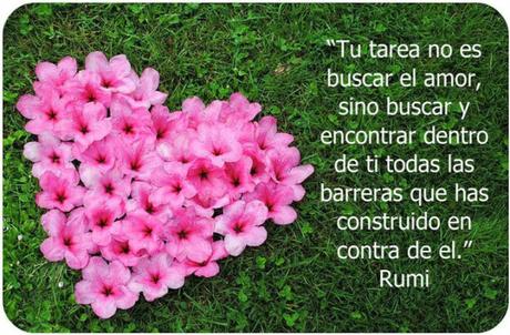 Seguiré luchado por la vida aunque nadie me ayude