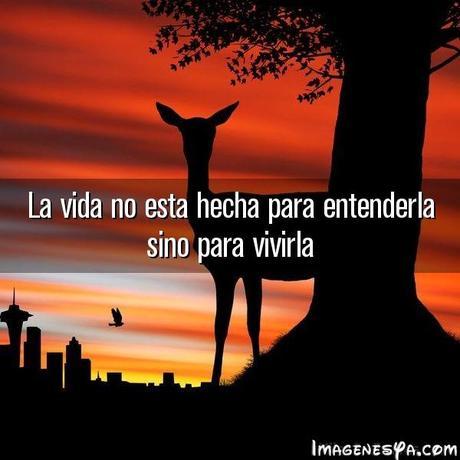 VIDEOS un mundo de sordo y ciego que no quiere ver pronto será tarde cuando nadie escucha